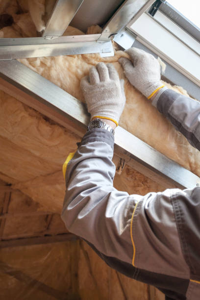 Best Attic Insulation Installation  in Arlington, TN